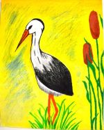 Záhorcová Kristína.jpg